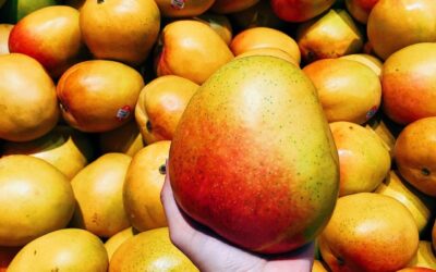 Chutney de mango y cebolla: el toque gourmet que transforma tus platos