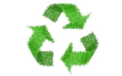 Consejos para un año Cero Waste