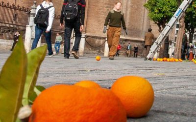 Historia de la denominación internacional Seville Orange