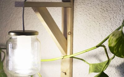 La importancia de cuidar la calidad de los alimentos