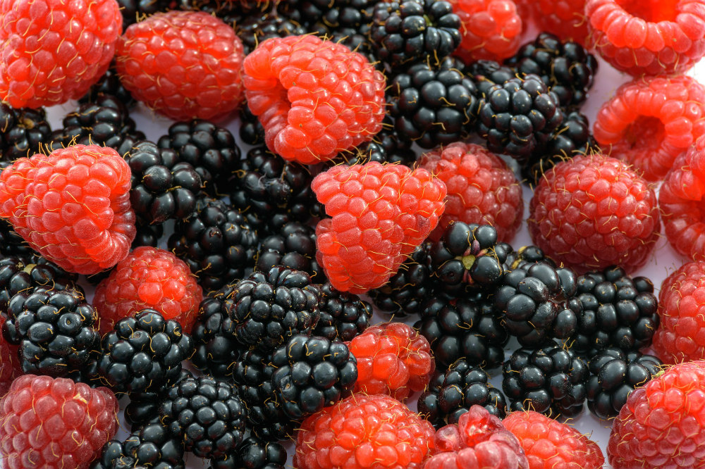 frutas otoñales