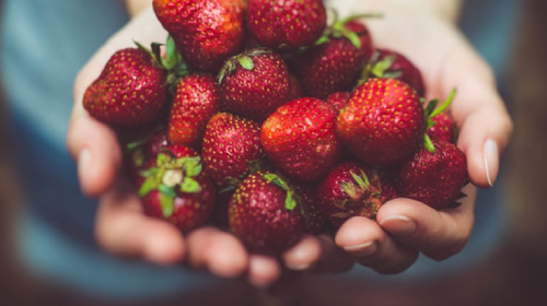 Fruta ecológica, ¿una moda? - La Vieja Fábrica 