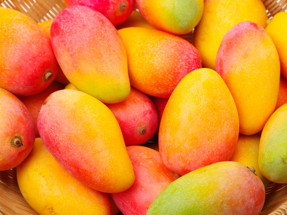 Beneficios del mango en tu dieta - La Vieja Fábrica Beneficios del mango en tu dieta
