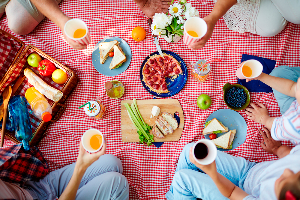 Un divertido picnic en familia